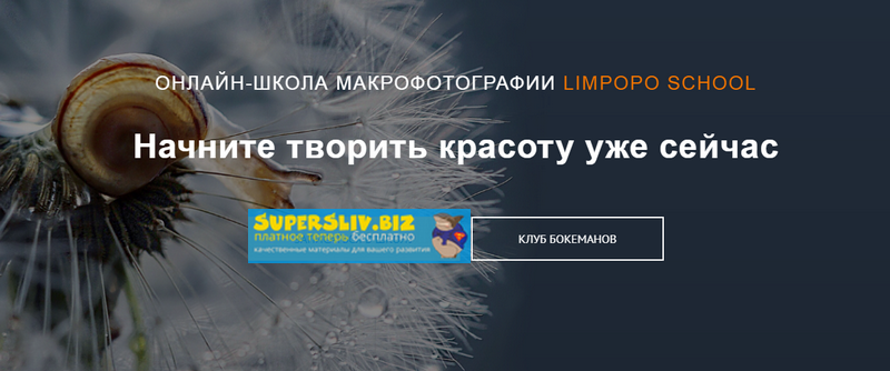 [Полина Серова, Арсен Алабердов] Курс по макрофото_0.png